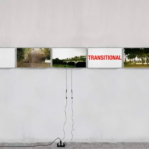 Alice Paltrinieri, I MISS THE TRANSITIONAL PLACES, 2024