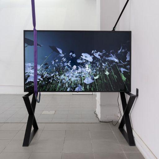 Federica Di Pietrantonio, The Field, 2023